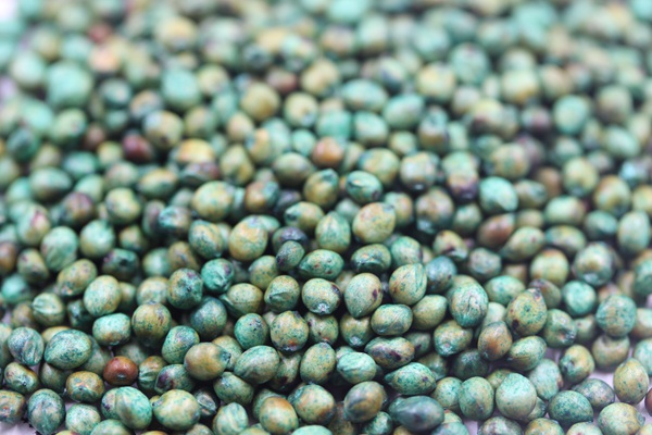 飼草甜高粱種子多少錢一斤,如何播種 飼草甜高粱種子多少錢一斤,如何播種