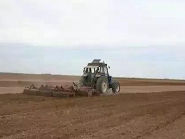 紫花苜蓿春季播種栽培技術(shù)