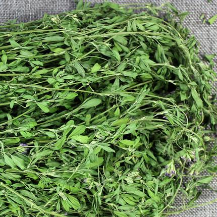 苜蓿畝產干草多少噸