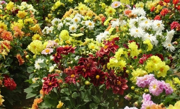 1629201630524698.jpg 1629201626.jpg