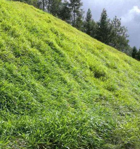 1629609764310626.jpg LBH0LN4(L6LK3$_O%XN1M~P.jpg