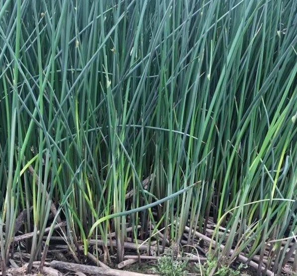 1629952273500739.jpg F`(66PSG1}[Y[AD0WT3I7GG.jpg