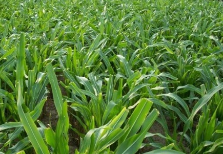 1630166389651552.jpg image.jpg