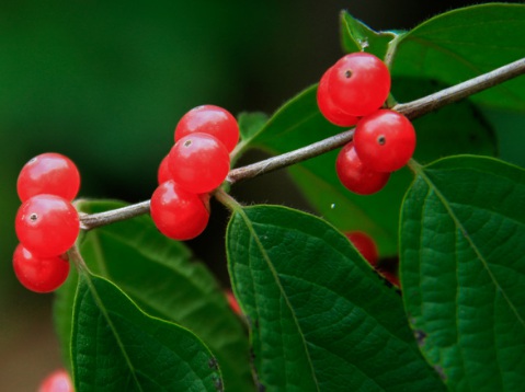 1630670614924143.jpg image.jpg