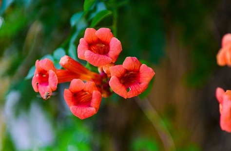 1630672947944334.jpg image.jpg