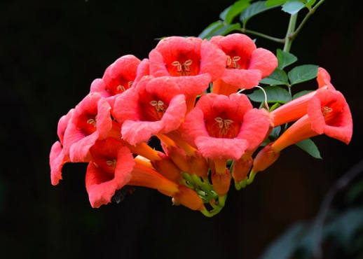 1630672955878333.jpg image.jpg