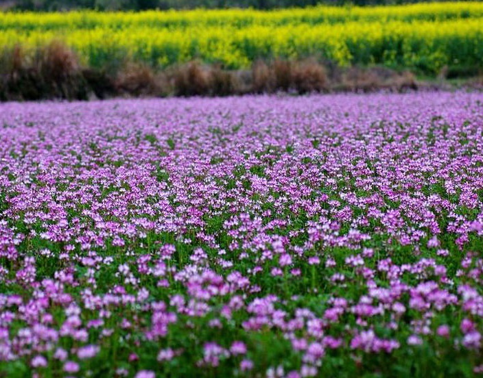 1631167074649343.jpg 1631167074649343.jpg