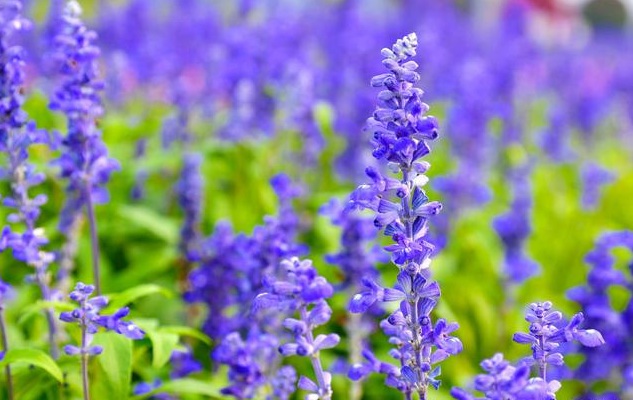 1631500295929273.jpg 1631500295929273.jpg