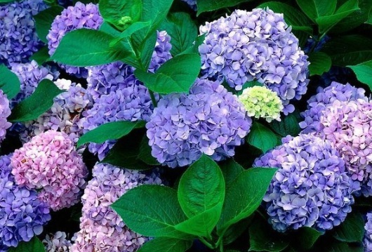 1631607227875321.jpg image.jpg