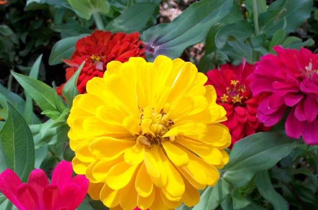 1632281194729736.jpg 1632281194729736.jpg