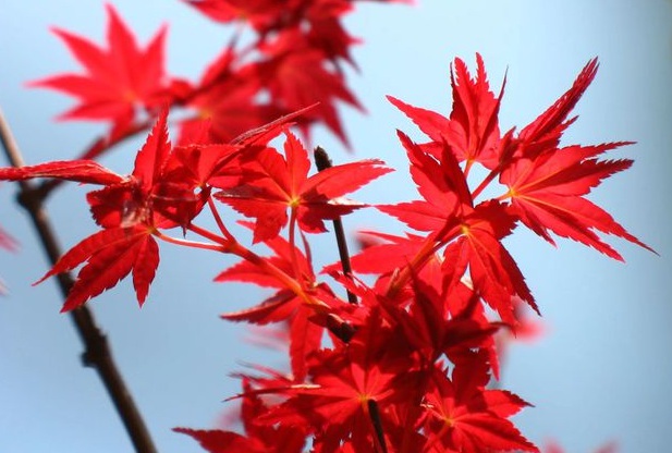 1632283471353628.jpg 1632283471353628.jpg