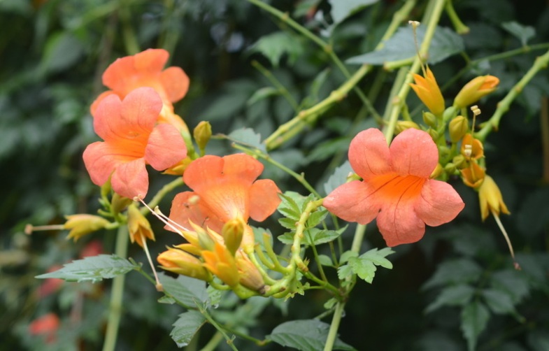 1632321472563017.jpg 1632321472563017.jpg