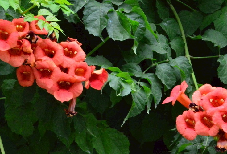 1632321490326938.jpg 1632321490326938.jpg