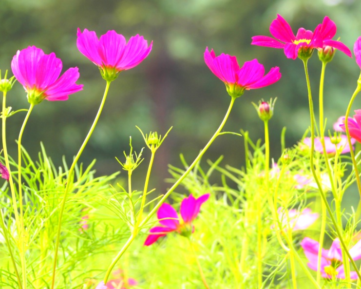 1632477738472511.jpg 1632477738472511.jpg