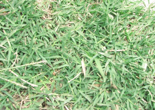 1632875464633400.jpg image.jpg