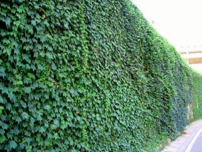 1634988261464582.jpg 1634988261464582.jpg