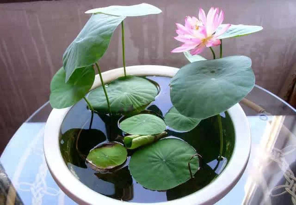 1635079014796318.jpeg d6a1feb83ad3d1484684c8a5dd4e226b_mp9635252_1428386813145_1_th.jpeg