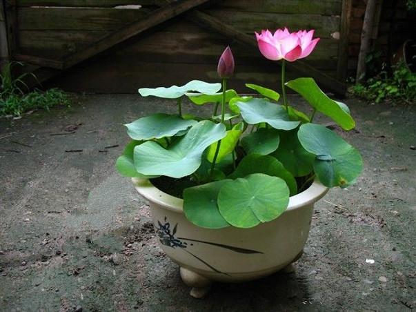 1635939451506514.jpeg 1635939451506514.jpeg