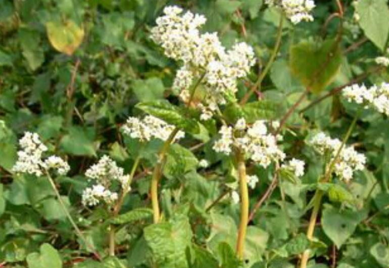 1636618021277465.jpg 1636618021277465.jpg