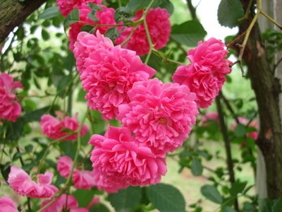 1637142402891446.jpg 1637142402891446.jpg