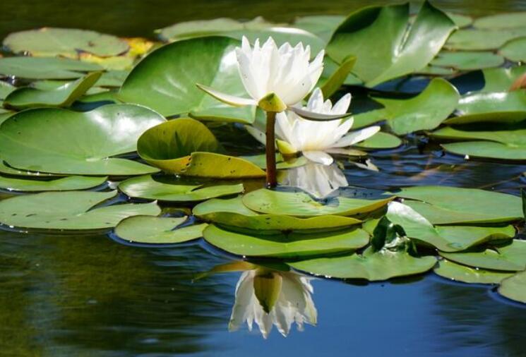 1637656863822948.jpg 777777777777777777777777.jpg