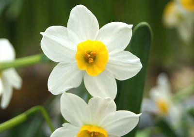 1637920464618671.jpg 1637920464618671.jpg