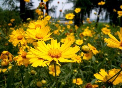 1638179571604183.jpg 1638179571604183.jpg