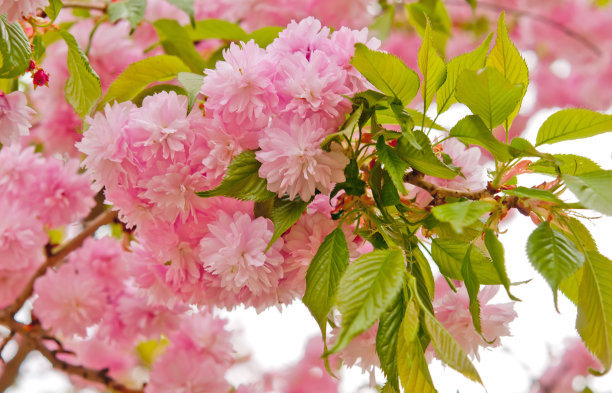 1641810690778676.jpg 1641810690778676.jpg