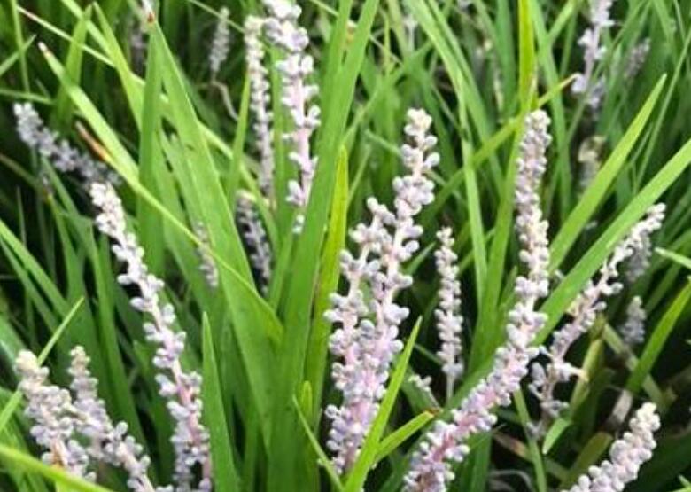 1642488251755284.jpg 1642488251755284.jpg