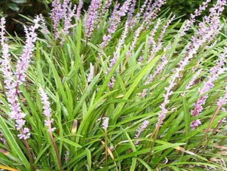 1642488267456369.jpg 1642488267456369.jpg