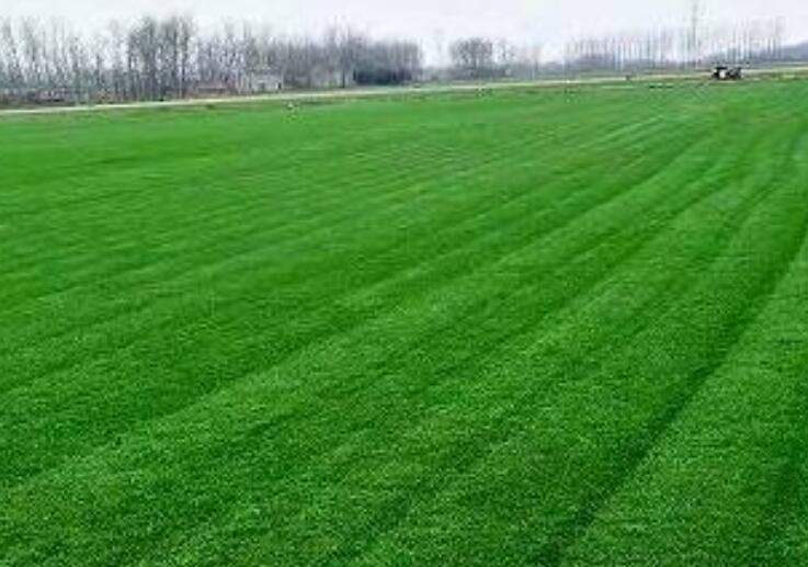 1643543625200485.jpg 1.jpg