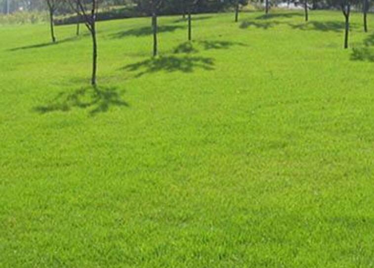 1643543644835768.jpg 3.jpg