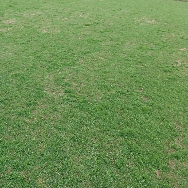 1647435790892399.jpg 1647435790892399.jpg